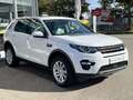 Land Rover Discovery Sport 2.0 TD4 AWD SE Pano Navi ACC Led Weiß - thumbnail 5