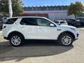 Land Rover Discovery Sport 2.0 TD4 AWD SE Pano Navi ACC Led Weiß - thumbnail 6