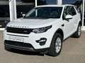 Land Rover Discovery Sport 2.0 TD4 AWD SE Pano Navi ACC Led Weiß - thumbnail 1