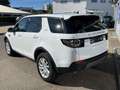 Land Rover Discovery Sport 2.0 TD4 AWD SE Pano Navi ACC Led Weiß - thumbnail 8