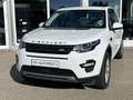 Land Rover Discovery Sport 2.0 TD4 AWD SE Pano Navi ACC Led Weiß - thumbnail 2