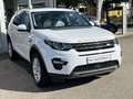 Land Rover Discovery Sport 2.0 TD4 AWD SE Pano Navi ACC Led Weiß - thumbnail 4