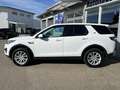 Land Rover Discovery Sport 2.0 TD4 AWD SE Pano Navi ACC Led Weiß - thumbnail 7