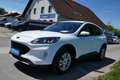 Ford Kuga Hybrid Cool&Connect Weiß - thumbnail 7