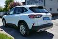 Ford Kuga Hybrid Cool&Connect Weiß - thumbnail 6