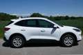 Ford Kuga Hybrid Cool&Connect Weiß - thumbnail 3