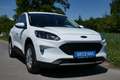 Ford Kuga Hybrid Cool&Connect Weiß - thumbnail 2