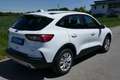 Ford Kuga Hybrid Cool&Connect Weiß - thumbnail 4