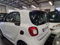 smart forTwo passion automatica pelle navi 53000km garanzia Bianco - thumbnail 3