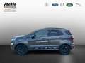 Ford EcoSport ST-Line LED, NAVI, RÜCKFAHRKAMERA Grigio - thumbnail 6