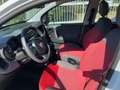 Fiat Panda 1.2 Easy Wit - thumbnail 8
