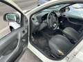 Fiat Panda 1.3 mjt VAN Furgone, 2 Posti, anno 10/2010 Bianco - thumbnail 10