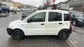 Fiat Panda 1.3 mjt VAN Furgone, 2 Posti, anno 10/2010 Blanc - thumbnail 17