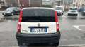 Fiat Panda 1.3 mjt VAN Furgone, 2 Posti, anno 10/2010 Blanc - thumbnail 16