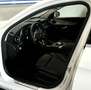 Mercedes-Benz C 220 Avangarde SHD KAM AUT Alb - thumbnail 6