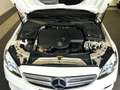 Mercedes-Benz C 220 Avangarde SHD KAM AUT Alb - thumbnail 26