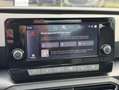 SEAT Leon 2.0 TDI 150 DSG7 Business - thumbnail 15