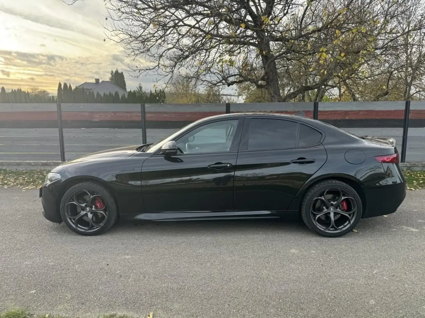 Alfa Romeo Giulia 2.0 Turbo 16V AT8-Q4 Veloce Schwarz - 2