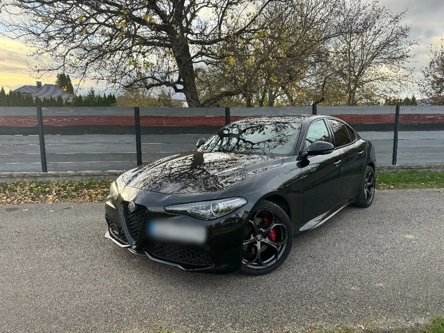 Alfa Romeo Giulia 2.0 Turbo 16V AT8-Q4 Veloce Schwarz - 1