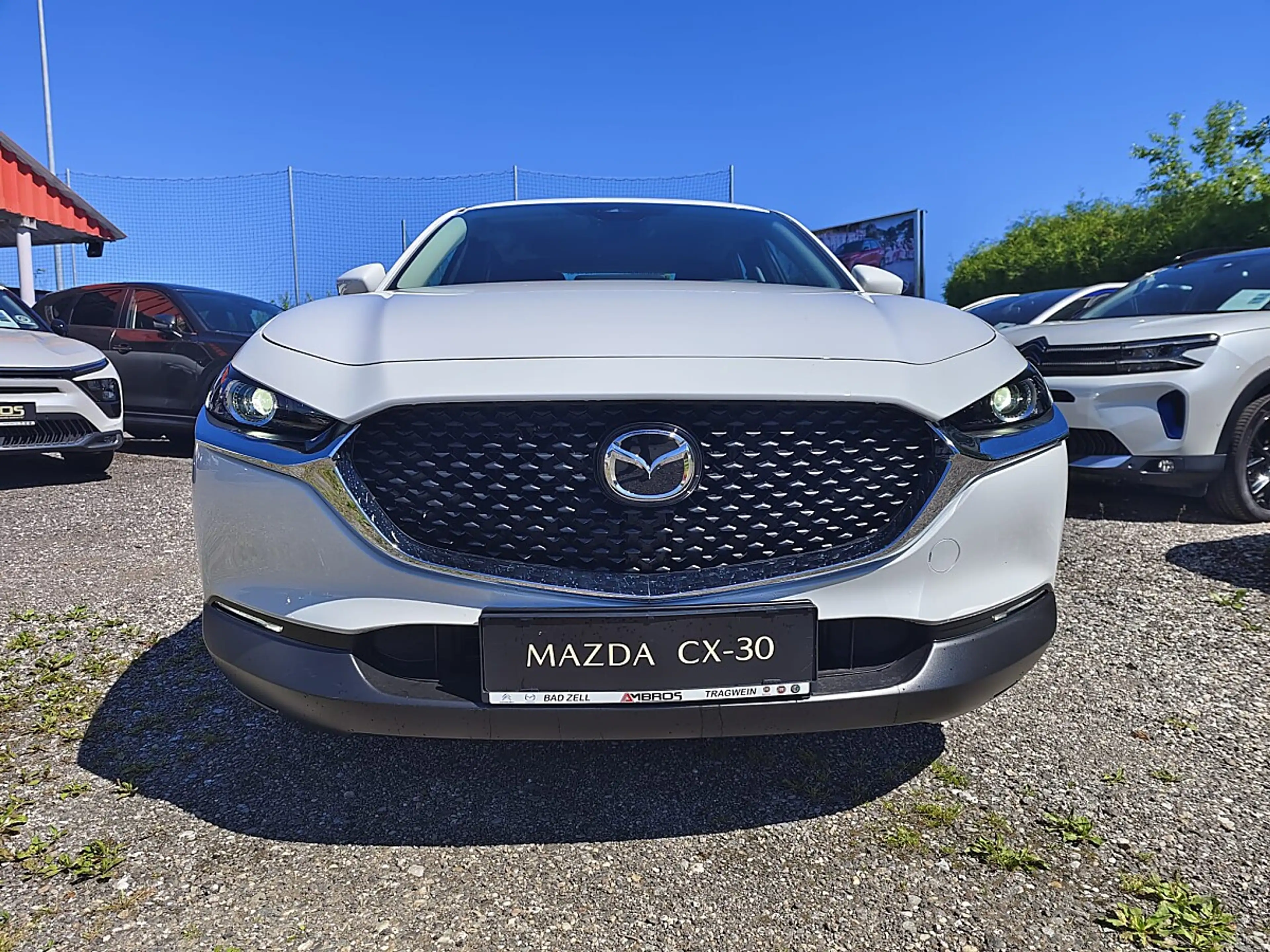 Mazda CX-30 e-Skyactive 2,5 G140 Prime-Line AKTION-KURZZULA... — photo 8