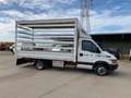 Iveco Daliy 35c15 cassone e centina 116000 kilometri Bianco - thumbnail 4