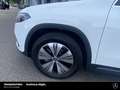 Mercedes-Benz EQA 300 EQA 300 4M Progressive 18" Vorr.-Distronic LED Tel Weiß - thumbnail 10