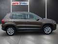 Volkswagen Tiguan 2.0 TDI 4x4 2xKlimaauto. Sitzhzg Navi Brun - thumbnail 3