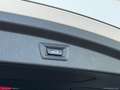 BMW X2 sDrive16d Msport AUTOMATICA Blanco - thumbnail 13