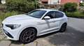 Alfa Romeo Stelvio 2.2 t Veloce Ti Q4 210cv auto - thumbnail 4