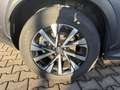 Lexus NX 450h+ Plug-in Hybrid Luxury Line LED, Pano, BT Grau - thumbnail 14