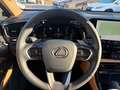 Lexus NX 450h+ Plug-in Hybrid Luxury Line LED, Pano, BT Grau - thumbnail 10
