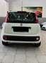 Fiat Panda 1.2 Pop 69cv E6 Bianco - thumbnail 2