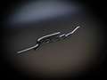 Bentley Continental GT New  Speed Blackline Specification Zwart - thumbnail 11