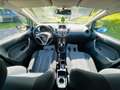 Ford Fiesta Fiesta VI 2008 5p 1.2 16v + 82cv Blu/Azzurro - thumbnail 13