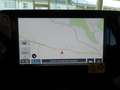 Suzuki Swift SWIFT 1.2 HYBRID shine Grau - thumbnail 13