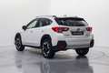 Subaru XV 2.0i Hybrid Executive Plus CVT Blanco - thumbnail 9