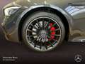 Mercedes-Benz AMG GT 53  Cp. 4M Perf-Abgas Fahrass WideScreen Grau - thumbnail 16