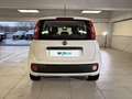 Fiat Panda 1.2 69cv S&S E6d-Temp Easy Bianco - thumbnail 4