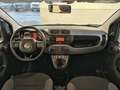 Fiat Panda 1.2 69cv S&S E6d-Temp Easy Bianco - thumbnail 8