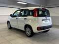 Fiat Panda 1.2 69cv S&S E6d-Temp Easy Bianco - thumbnail 3