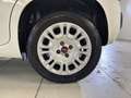 Fiat Panda 1.2 69cv S&S E6d-Temp Easy Bianco - thumbnail 7