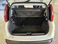 Fiat Panda 1.2 69cv S&S E6d-Temp Easy Bianco - thumbnail 11