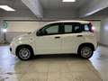 Fiat Panda 1.2 69cv S&S E6d-Temp Easy Bianco - thumbnail 2