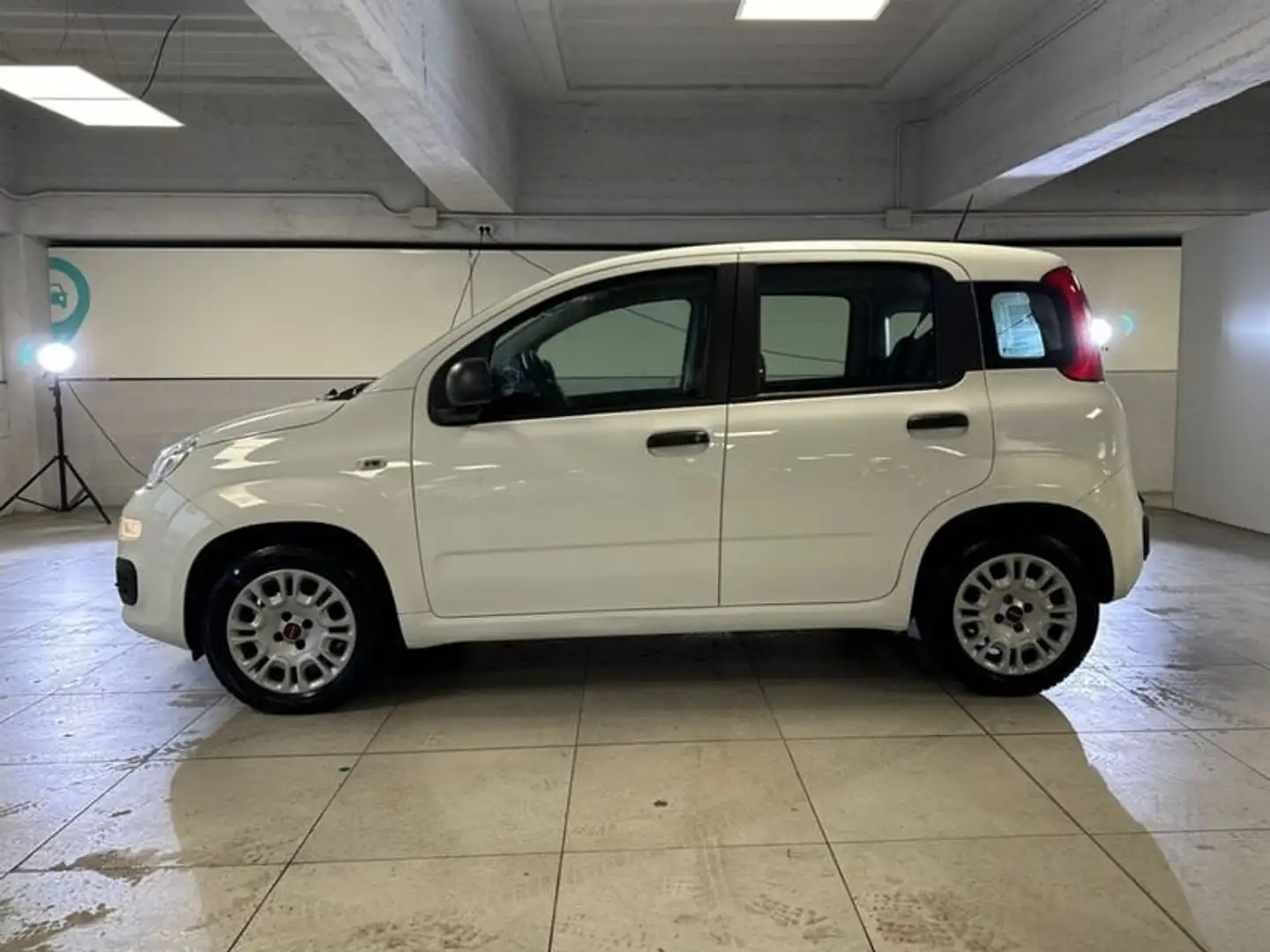 Fiat Panda 1.2 69cv S&S E6d-Temp Easy Bianco - 2