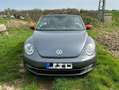 Volkswagen Beetle The Beetle Cabriolet 2.0 TDI BlueMotion Technology siva - thumbnail 5