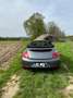 Volkswagen Beetle The Beetle Cabriolet 2.0 TDI BlueMotion Technology siva - thumbnail 6
