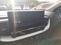 Kia Ceed SW / cee'd SW Ceed SW Spin*MJ25*Navi*Shzg*Lhzg*PDC*Cam*16Zoll* Білий - thumbnail 12
