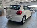 Volkswagen Polo 1.2 TDI DPF 5 p. Comfortline - RUOTINO Bianco - thumbnail 4