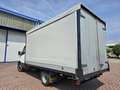 Iveco Daily 35C14 CENTINA TELONATA Bianco - thumbnail 4