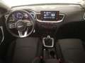 Kia XCeed 1.0 T-GDI 88KW DRIVE 120 5P Blauw - thumbnail 9